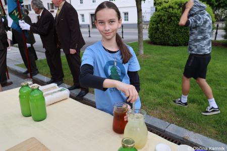 Čebela velikanka potuje po Kamniku (22)